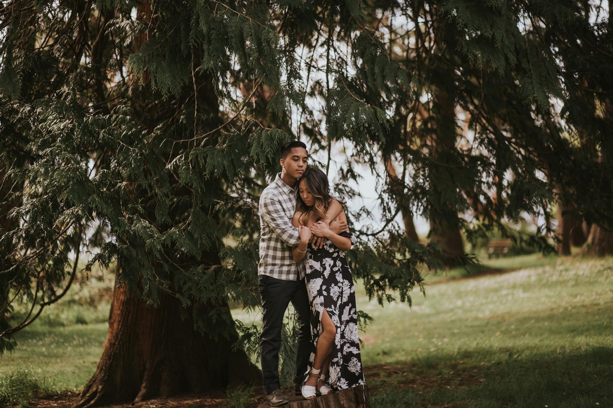 golden hour dreamy couple on stump West Seattle Engagement Photographer Marcela Pulido Portland Wedding