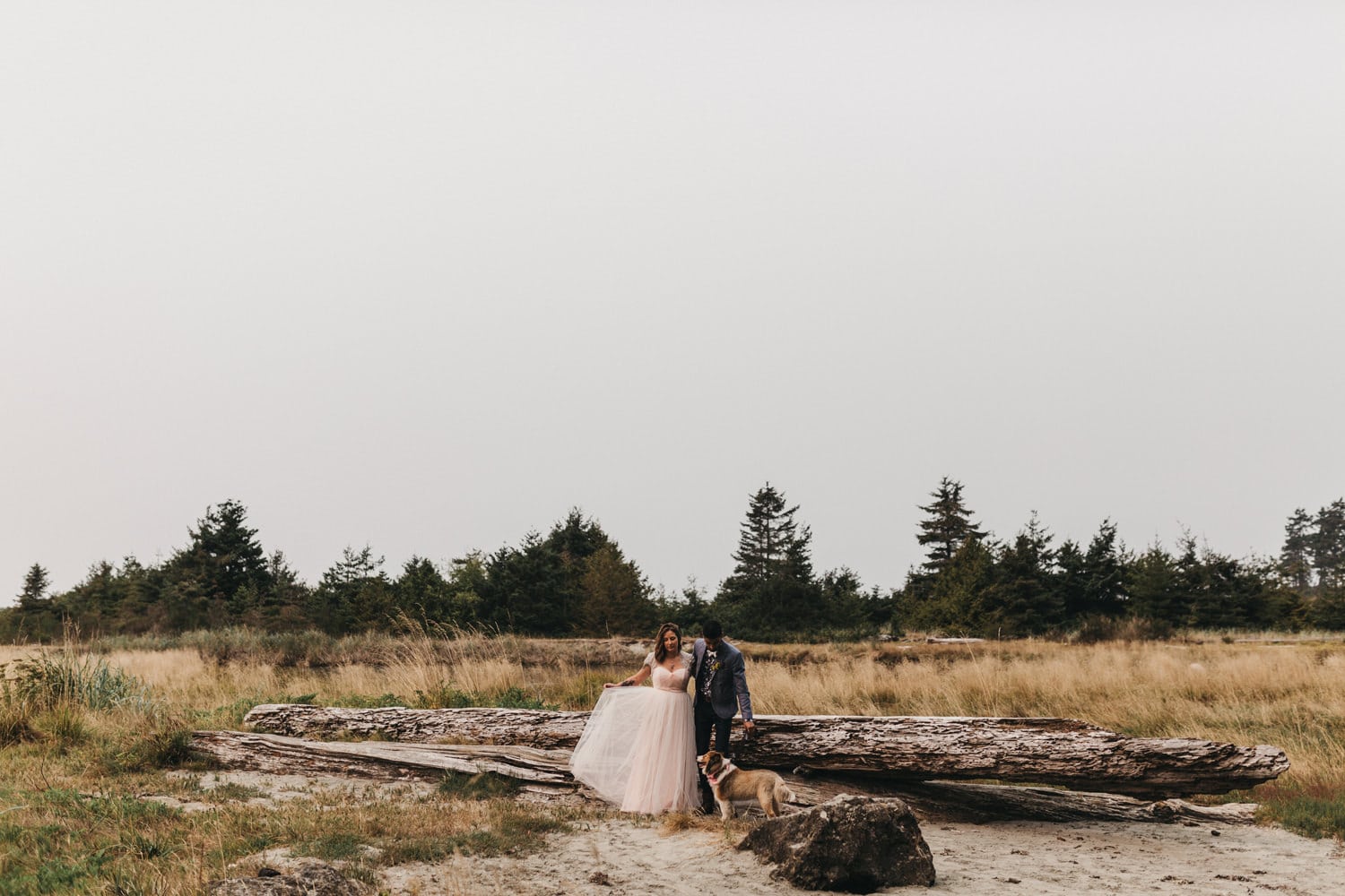 bride wearing a soft rose tulle wedding gown with her groom and dog on the pacific northwest landscape olympic peninsula elopement by marcela pulido portland oregon wedding and elopement photographer