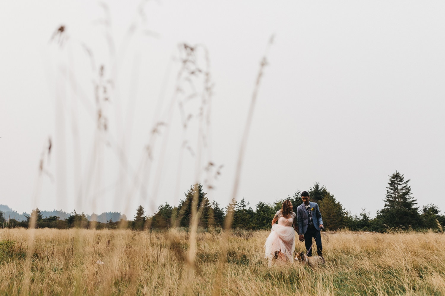 newlywed couple bride in pink wedding gown frolicking in a field with their dog olympic peninsula elopement by marcela pulido portland oregon wedding and elopement photographer