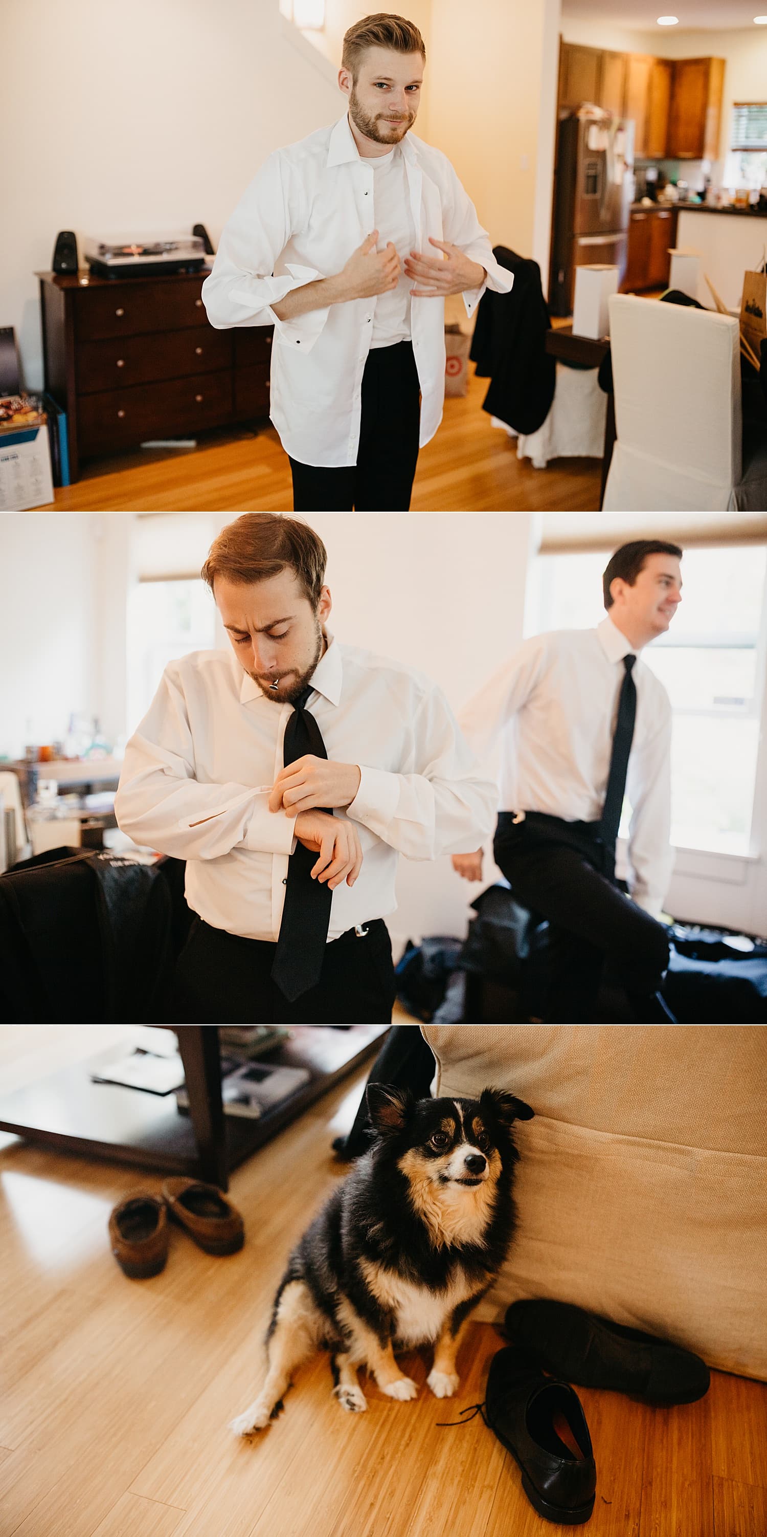 groom getting ready at home with cute fat dog watching 415 Westlake Wedding by Marcela Pulido Seattle Wedding Photography