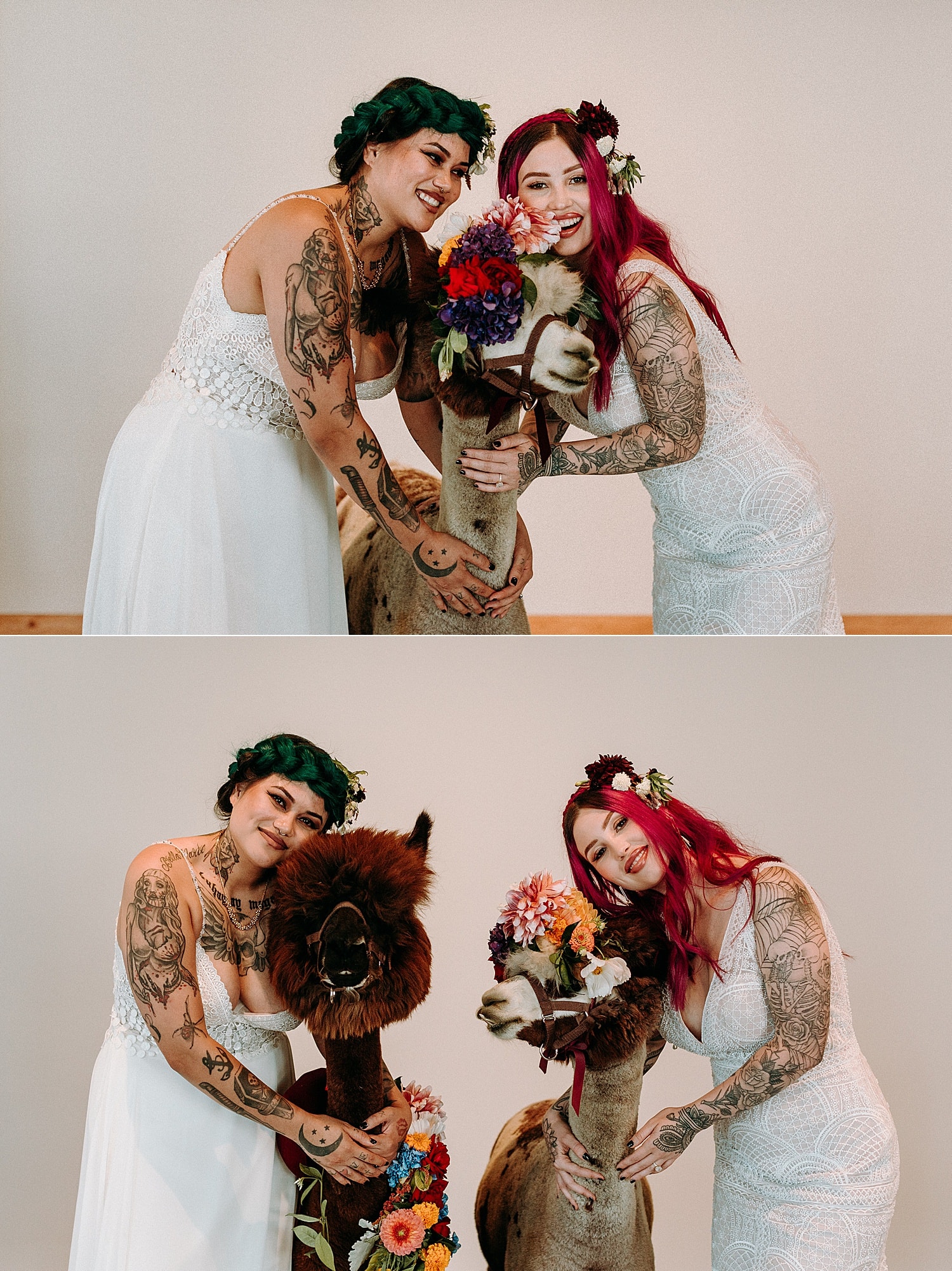 same sex lesbian tattooed couple with green and pink hair mexican style wedding posing next to the wedding llamas alpacas by Marcela Pulido Photographer Portland Wedding Photography