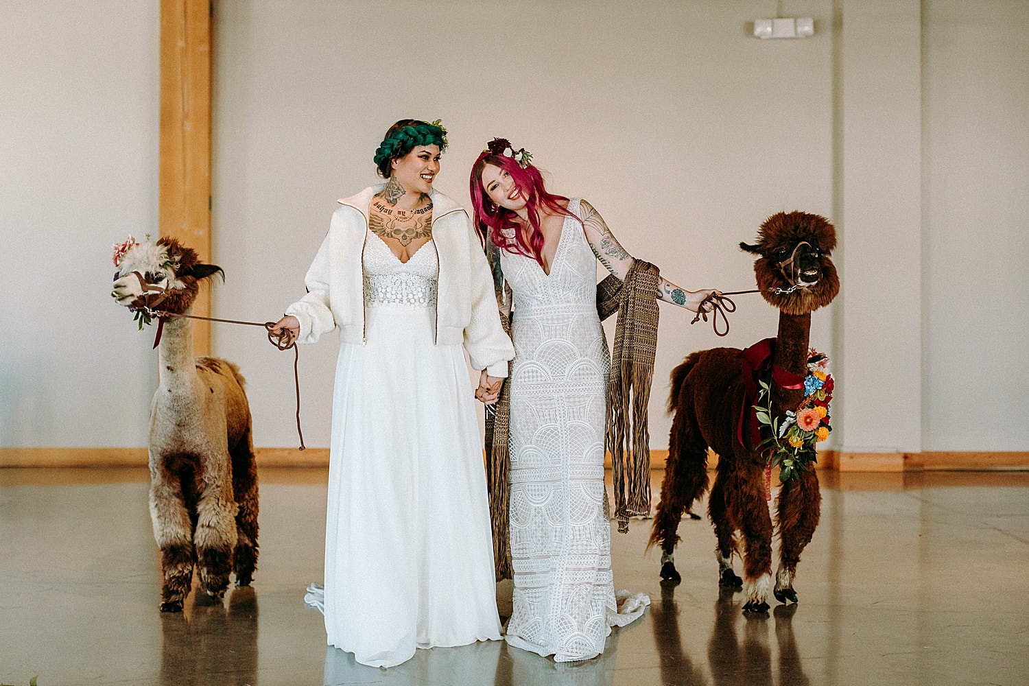 same sex lesbian tattooed couple with green and pink hair mexican style wedding posing next to the wedding llamas alpacas by Marcela Pulido Photographer Portland Wedding Photography